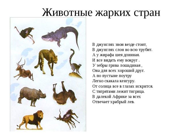 Животные жарких стран. Презентация для дошкольников