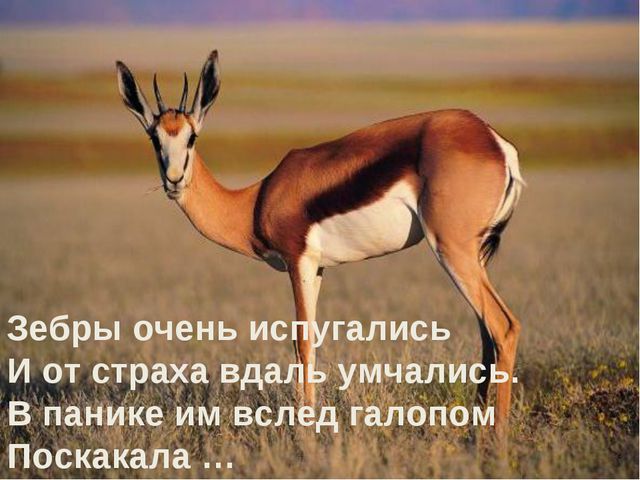 Животные жарких стран. Презентация для дошкольников