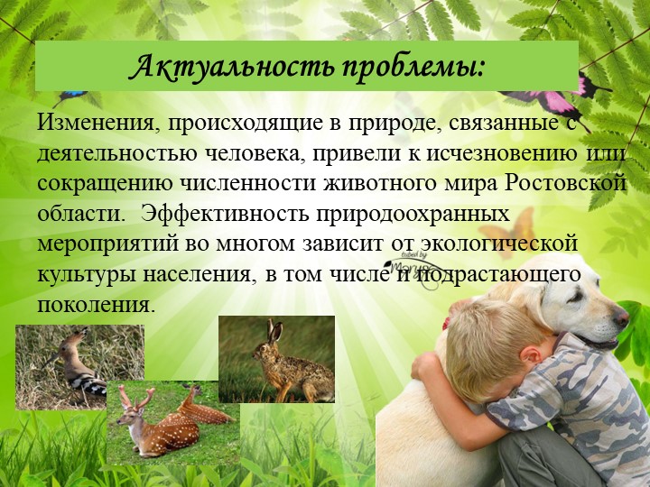 Презентация на тему: Познавательно исследовательский проект "Животные Ростовской области"