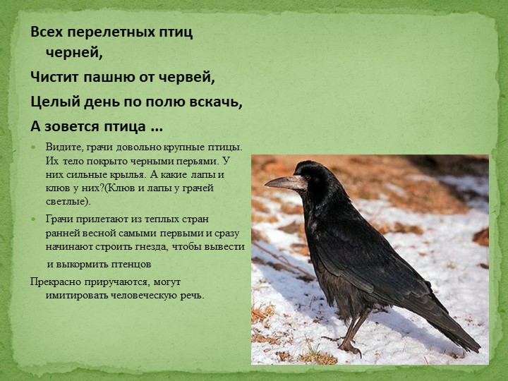 Презентация на тему "Перелетные птицы"