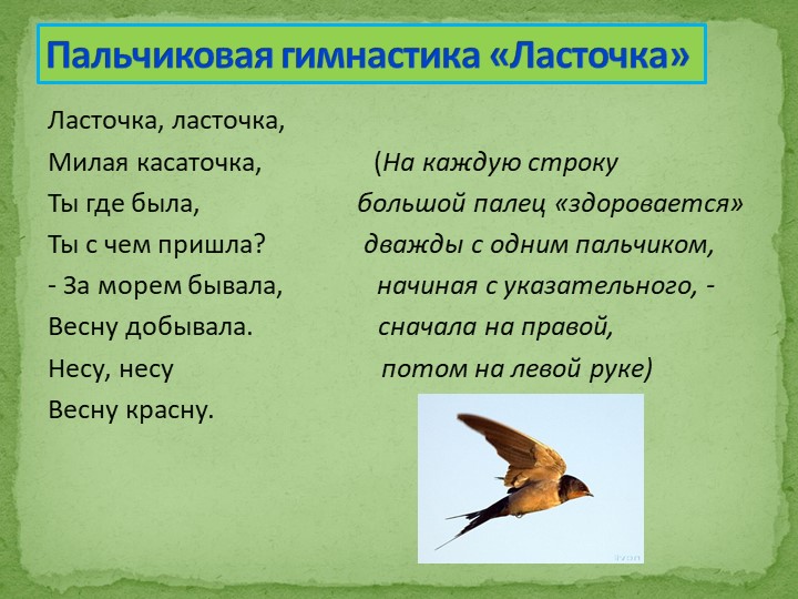 Презентация на тему "Перелетные птицы"