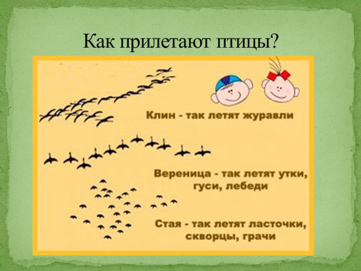 Презентация на тему "Перелетные птицы"