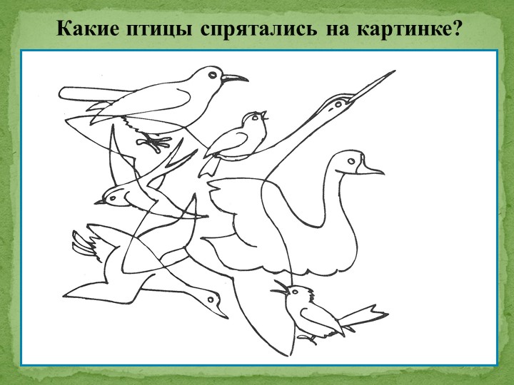 Презентация на тему "Перелетные птицы"