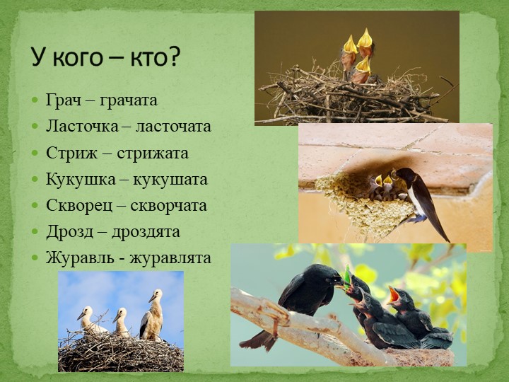 Презентация на тему "Перелетные птицы"