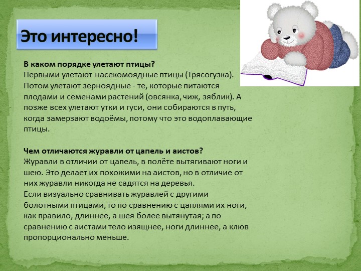 Презентация на тему "Перелетные птицы"