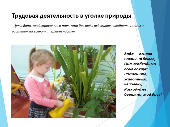 Презентация "Вода- символ жизни на Земле"