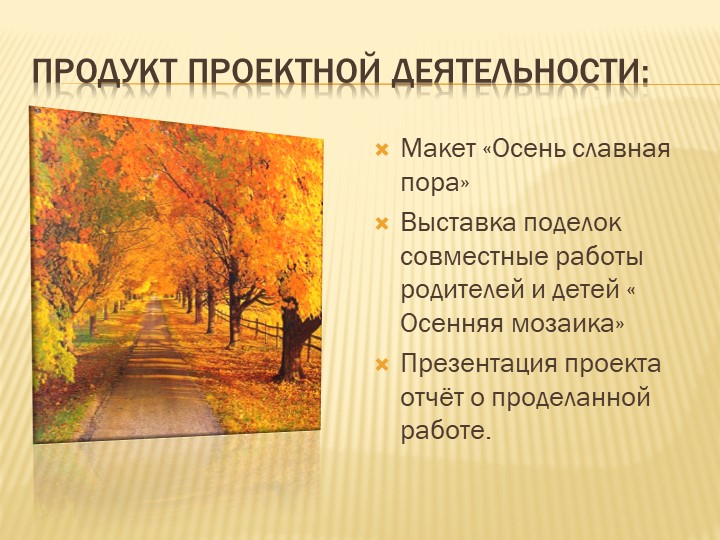 Сделана проект в форме презентации.