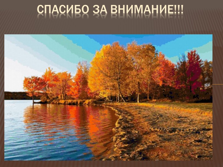 Сделана проект в форме презентации.