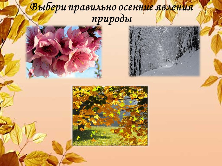 Презентация НОД "Приметы осени" для интерактивной доски