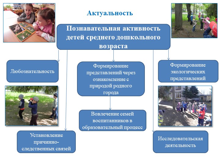 Экологически ориентированный проект "В гостях у друзей Филина" (средняя группа)