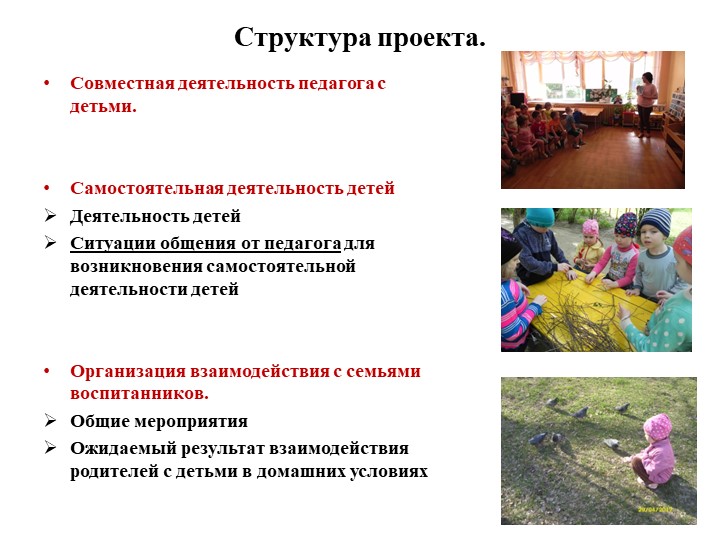 Экологически ориентированный проект "В гостях у друзей Филина" (средняя группа)