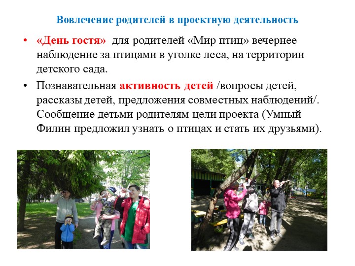 Экологически ориентированный проект "В гостях у друзей Филина" (средняя группа)