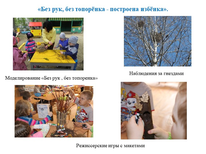 Экологически ориентированный проект "В гостях у друзей Филина" (средняя группа)