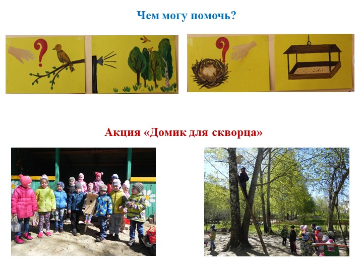 Экологически ориентированный проект "В гостях у друзей Филина" (средняя группа)