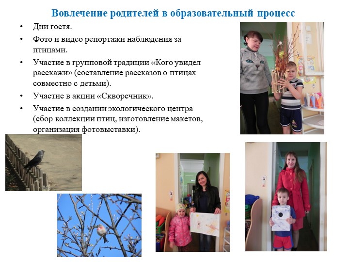 Экологически ориентированный проект "В гостях у друзей Филина" (средняя группа)