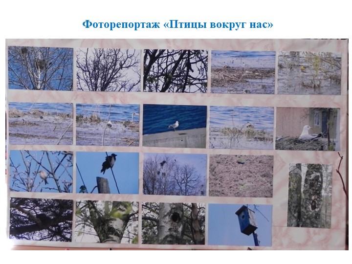 Экологически ориентированный проект "В гостях у друзей Филина" (средняя группа)