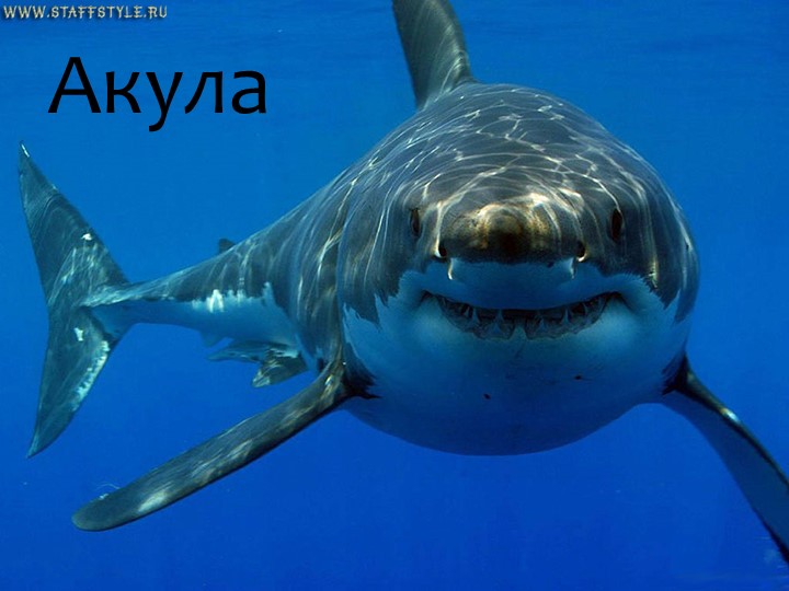 Игра "На дне океана"