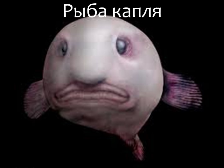 Игра "На дне океана"