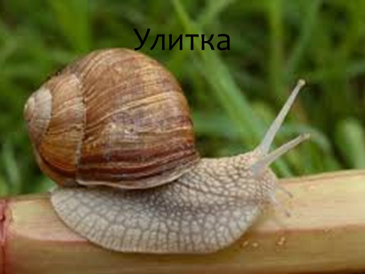 Игра "На дне океана"