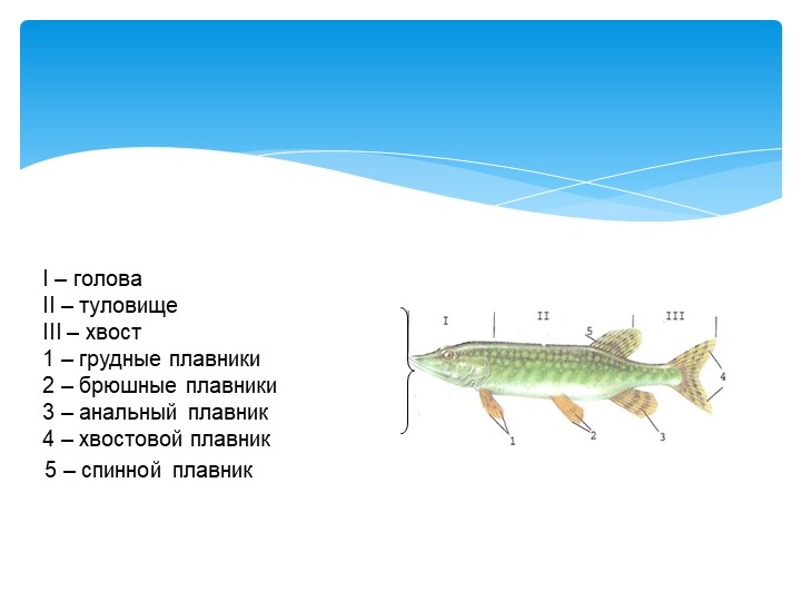 Игра "На дне океана"