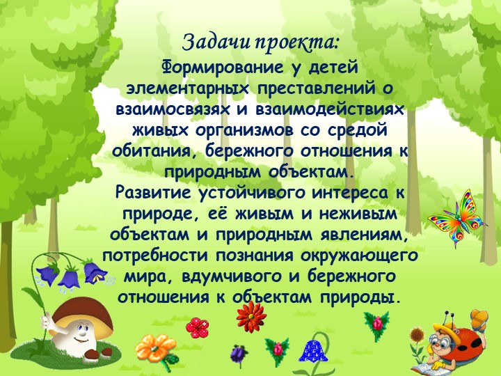 Проект "Экологическая тропа" с детьми старшего дошкольного возраста