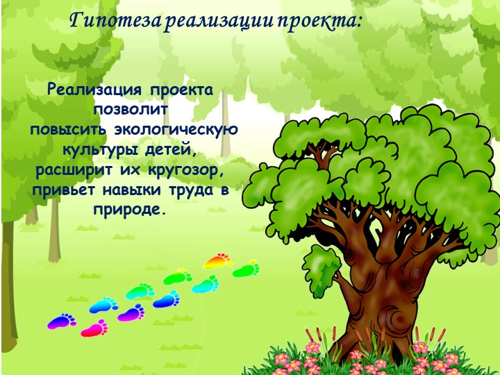 Проект "Экологическая тропа" с детьми старшего дошкольного возраста