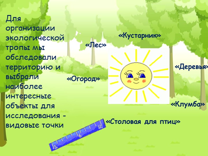 Проект "Экологическая тропа" с детьми старшего дошкольного возраста