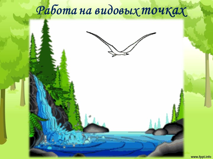 Проект "Экологическая тропа" с детьми старшего дошкольного возраста
