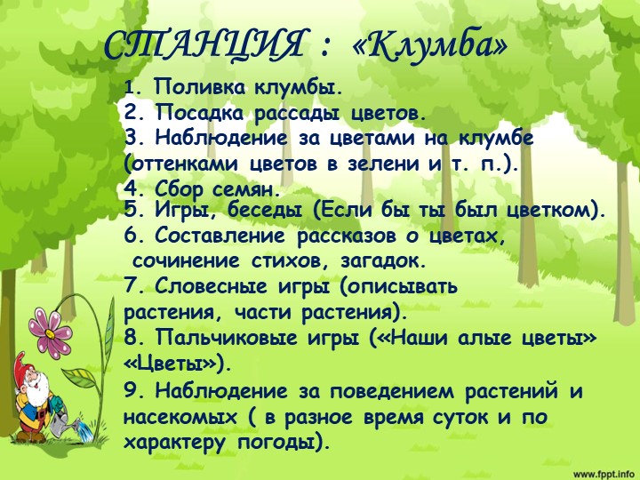 Проект "Экологическая тропа" с детьми старшего дошкольного возраста