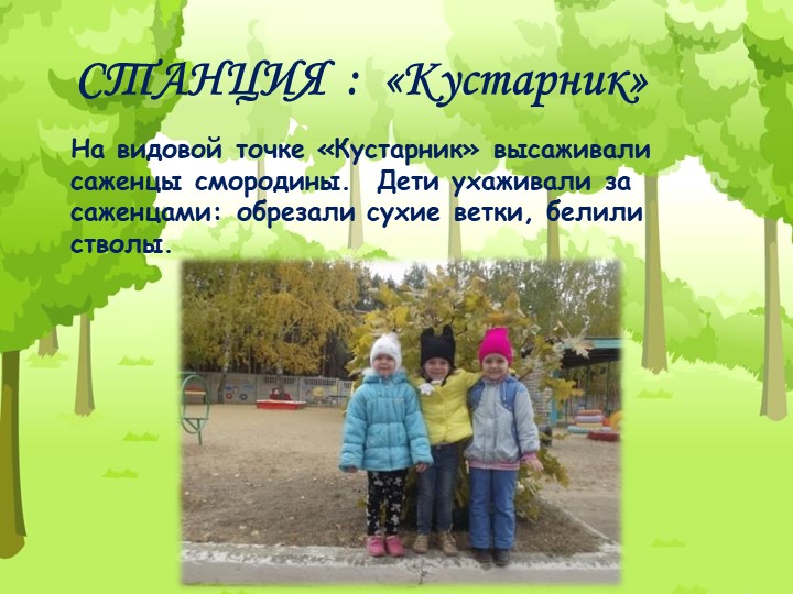 Проект "Экологическая тропа" с детьми старшего дошкольного возраста