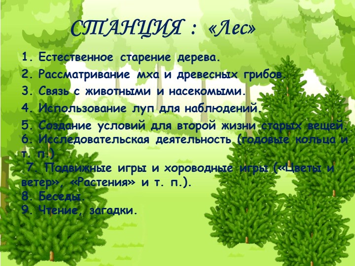 Проект "Экологическая тропа" с детьми старшего дошкольного возраста