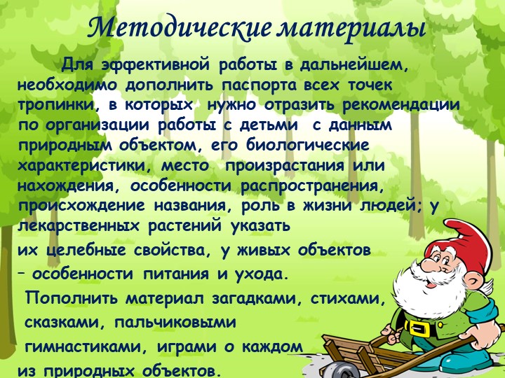 Проект "Экологическая тропа" с детьми старшего дошкольного возраста