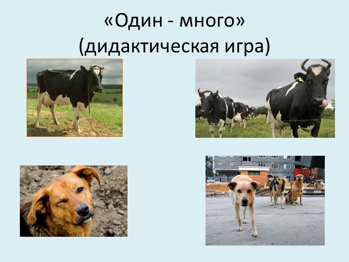 Презентация для младших дошкольников на тему "Дикие и домашние животные"