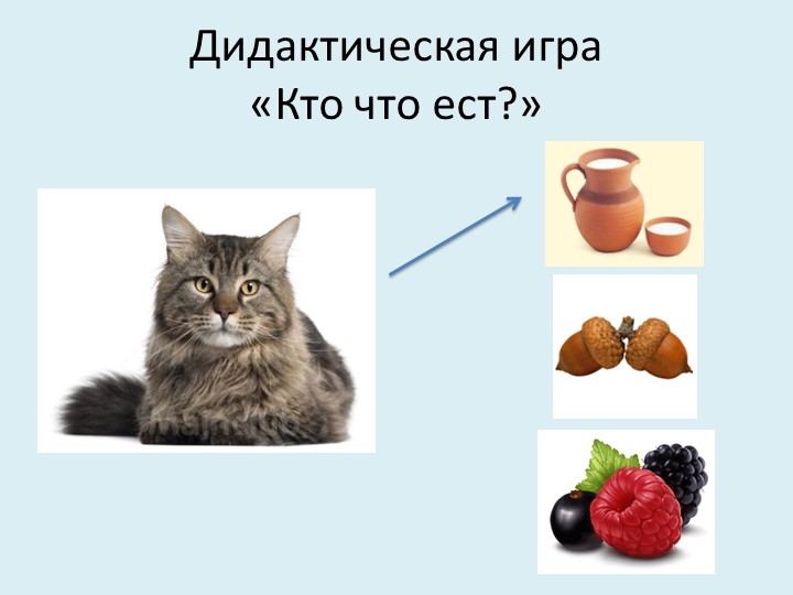 Презентация для младших дошкольников на тему "Дикие и домашние животные"