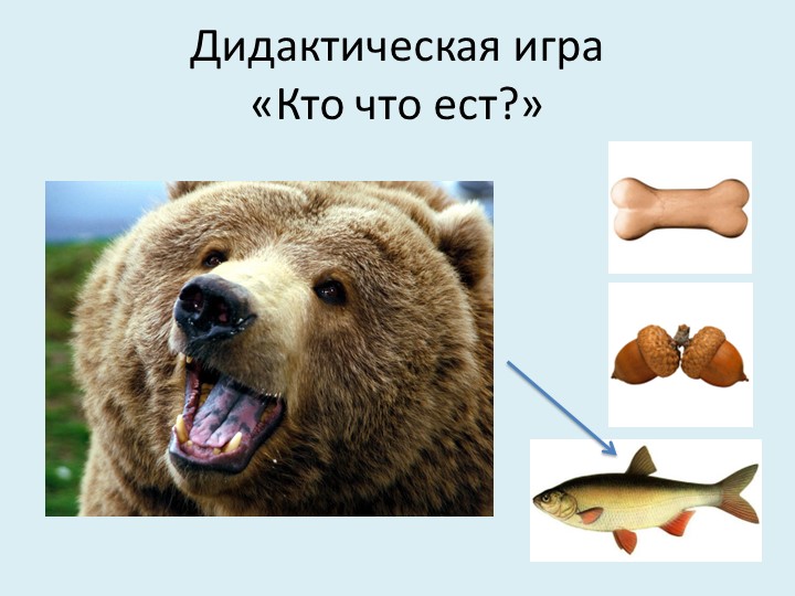 Презентация для младших дошкольников на тему "Дикие и домашние животные"