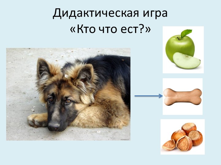 Презентация для младших дошкольников на тему "Дикие и домашние животные"