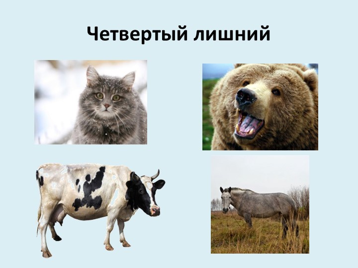 Презентация для младших дошкольников на тему "Дикие и домашние животные"