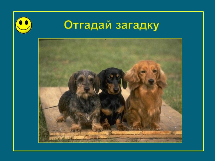 Презентация к занятию "Щенок оригами"