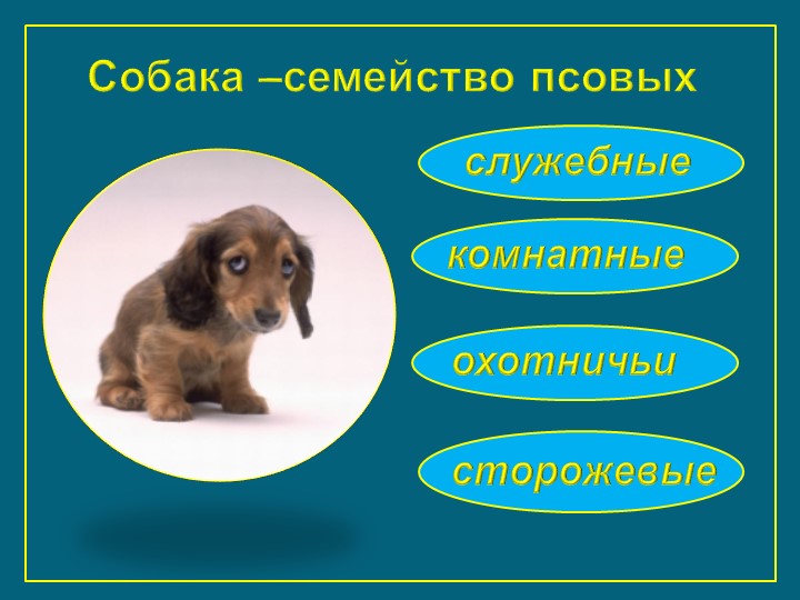 Презентация к занятию "Щенок оригами"