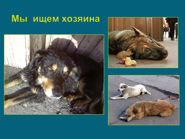 Презентация к занятию "Щенок оригами"