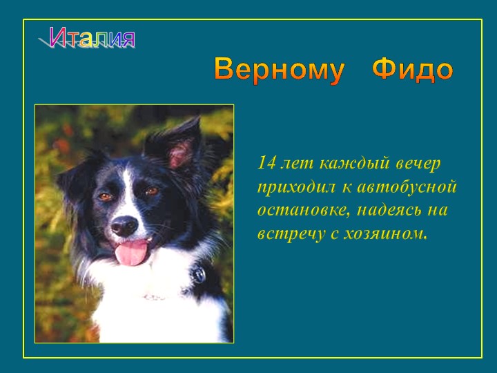 Презентация к занятию "Щенок оригами"