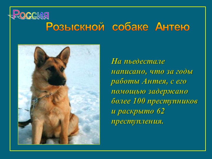 Презентация к занятию "Щенок оригами"