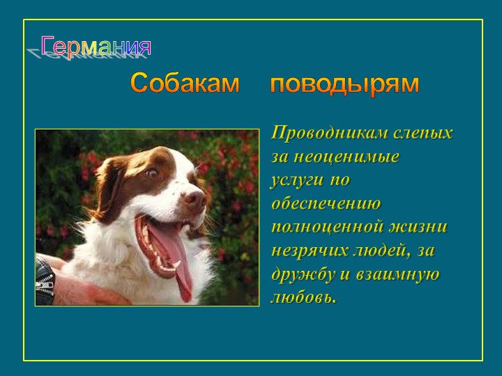 Презентация к занятию "Щенок оригами"