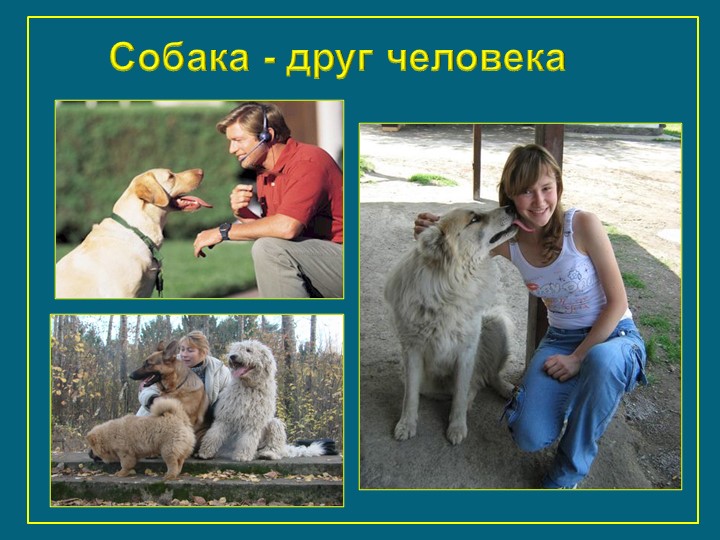 Презентация к занятию "Щенок оригами"