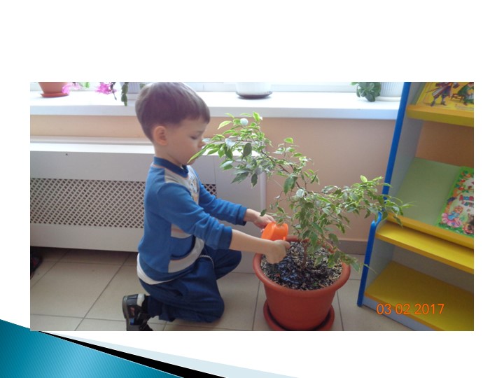 Фотоотчет по проекту "Будь здоров"