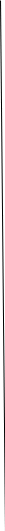 Shape19