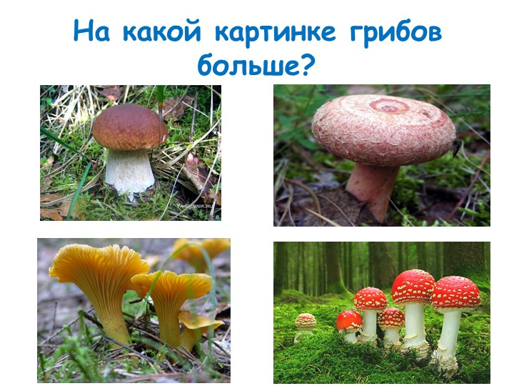 Задания для дошкольников по окружающему миру с использованием икт