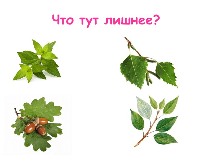 Задания для дошкольников по окружающему миру с использованием икт