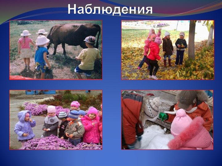Презентация " Развитие познавательного интереса детей."