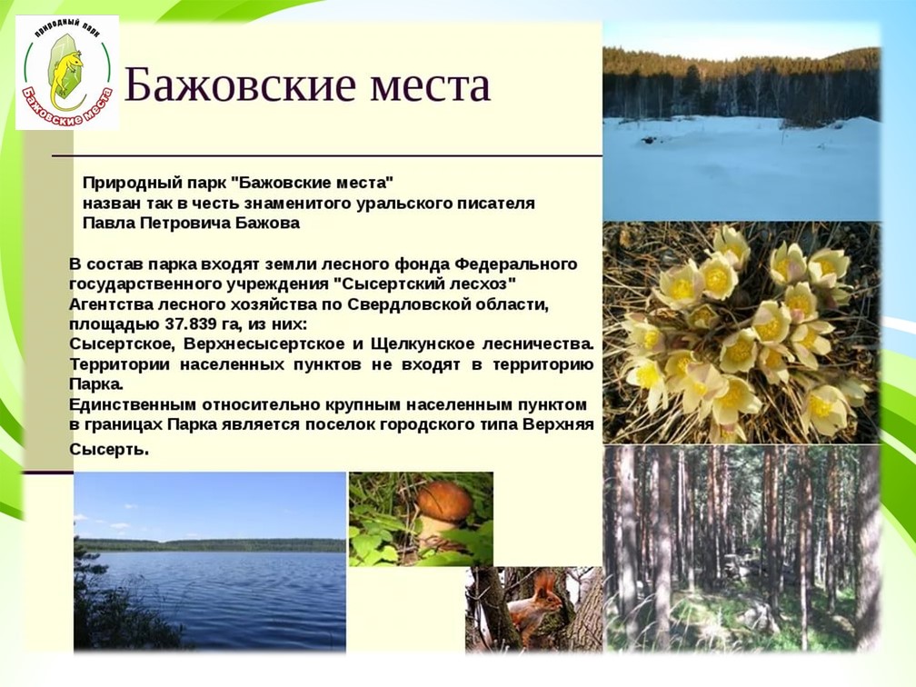 Семейный проект "Бажовские места".